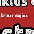 SIKLUS DAN FASE MENSTRUASI