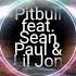 Pitbull Feat Sean Paul Lil Jon Culo Remix Birdsea