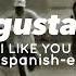 Me Gustas Tu I Like You Manu Chao Easy Lyrics With English Translation