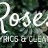 Roses The Chainsmokers Lyrics And Clean