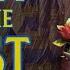 RAIN And Storytelling Beauty And The Beast Bedtime Story For Grown Ups