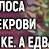 Выйдя из душа Вероника услышала голоса мужа и свекрови на незнакомом языке а едва поняв