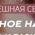 Семейное насилие Статистика и разновидность Успешная семья Шейх Ибрагим ад Дувейш серия 20