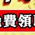 選前特報 大盤今日拉回 買這幾檔 低檔佈局即將噴發 盤中焦點 聯昌 金橋 台玻 菱光 華孚 洪培家分析師 股票王 20241028 三立iNEWS