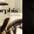 AMORPHIS Tuonela Full Album Stream