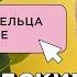 ШОТЛАНДСКИЕ КОТЫ МНЕНИЕ ВЛАДЕЛЬЦА О ПОРОДЕ СКОТТИШ СТРАЙТ И СКОТТИШ ФОЛД