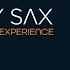 Sandy Sax Lyon City Live Experience 45 Min Live Music