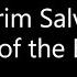 Grim Salvo March Of The Earwigs Lyrics