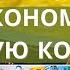 Живём на минималку Как прожить 3 дня при бюджете в 1000 руб на 4 х человек Экономное меню