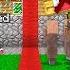 FERİTED VS MİNECRAFT 393