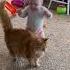 Adorable Fluffy Cat Helps Baby Take First Steps