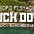 IAKOPO Touch Down Audio Feat Shaggy Dj Jblack Island Reggae Remix