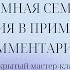 Открытое занятие Системная семейная терапия в примерах и комментариях