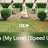 ILLIT Cherish My Love Speed Up