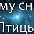 К чему снится Птицы Сонник Толкование снов