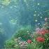 Gentle Piano Music Tranquil Nature Scenery For Relaxing Moments