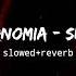 Elekronomia Sky High Slowed Reverb Slowed Reverb Musics NCS Release