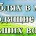 ВидеоБиблия Псалом 106 с музыкой Бондаренко