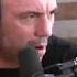 Joe Rogan On Molly Mdma