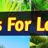 Trending Palms For Landscaping Best Palm Tree For Landscape At Any Climatic Conditions Palm Tree