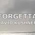 David Kushner Mr Forgettable Slowed Reverb Lyrics