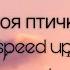 ANNA ASTI Моя птичка Speed Up