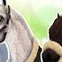 300 Horse Name Ideas Star Stable Online