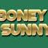 Boney M Sunny Orig Full Instrumental Unused Instruments HD Enhanced Sound 2023