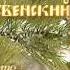 Рождественский пост Преподобный Иосиф Оптинский Литовкин