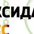 Иммунитет Антиоксиданты и стрессовые реакции Алименко А Н 13 11 2019