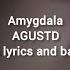 Amygdala AGUSTD Karaoke With Lyrics And Backing Vocals