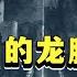 长白山神秘的 宝藏和神树 的传说 疑似隐藏着大清世代守护的龙脉 怪不得满清封禁长白山二百年 华夏传奇