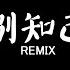 海来阿木 别知己 Biệt Tri Kỷ DJ抖音 Remix 抖音热门歌曲 月亮冷冷地挂在天上 它也知道明天将是一场离别 抖音 Hot Tiktok Douyin Baozhang