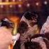 GOLDEN BUZZER Audition Is Crowned The BEST DOG ACT EVER By Simon Cowell Got Talent Global