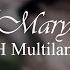 APH Multilanguage Puppet Mary S Theme