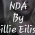 NDA By Billie Eilish Sped Up Lyrics