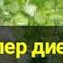 Супер диета минус 5 кг за неделю Диета для похудения сытная и простая Ешь и худей Канал Тутси