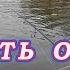 Рабочий Способ получить много ПОКЛЁВОК ОСЕНЬЮ Уменьшать приманку и замедлить проводку