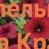 Петуния ампельная Опера Красная Opera Krasnaya обзор как сажать семена петунии Опера Красная