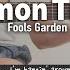 Lemon Tree Fools Garden Fingerstyle Guitar TAB Chords Lyrics