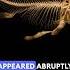 Fossil Explosion 540 Million Years Ago Fossil Evolution Science Darwin World Life