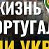 Жизнь в Португалии глазами украинца Юрий Романенко и Артур Васильев интервью