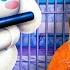 KAT ESCAPES CINNAMOROLL S PRISON RUN IN ROBLOX OBBY