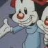 Animaniacs 1993 Vad Är Vi Swedish Fandub CC