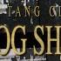 Wu Tang Clan Dog Shit Visual Playlist