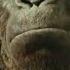 KONG SKULL ISLAND THE JUNGLE ZAYDE WOLF