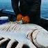 Giant Sea Monsters Crab Caught By Fishermen S OceanMysteries DeepSeaCreatures