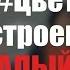 Филипп Киркоров Цвет настроения синий АЛЫЙ Пародия Сургут