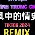 彭沛绮 风中的情史 DJ阿本版 Chuyện Tình Trong Gió Remix Tiktok Bành Phái Khỉ Hot Tiktok Douyin