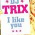 DJ Trix I Like You Remix